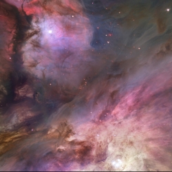 orion nebula (2)