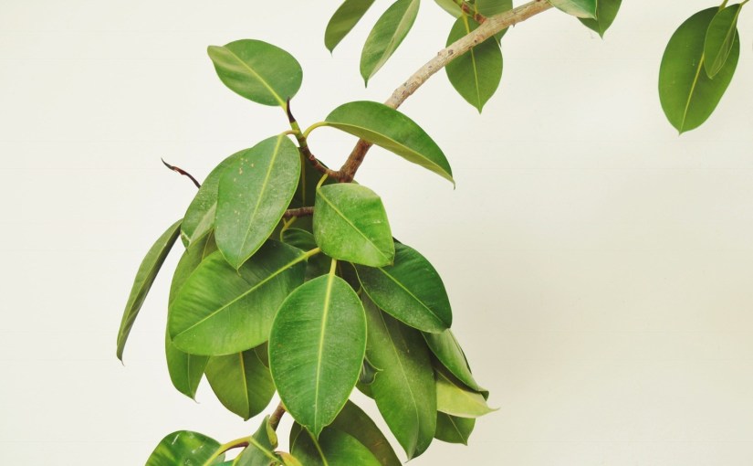 it is time to reflect&nbsp;(ii)