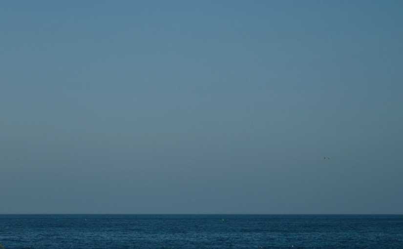 on recent solipsistic&nbsp;proofs