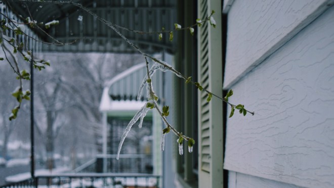 spring hath sprung you say?